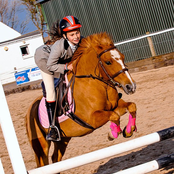 equestrian event photographer